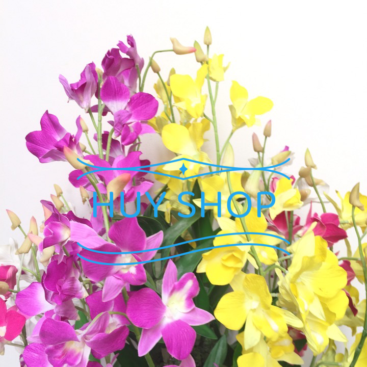 CHẬU HOA LAN CÒ   NHÂN TẠO TRANG TRÍ NHÀ CỬA