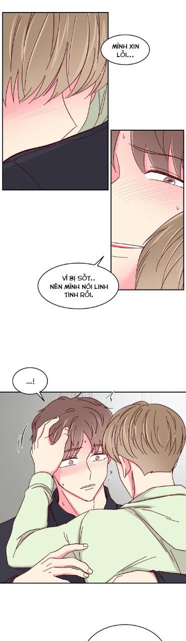 món tráng miệng của sếp tổng chapter 55 11