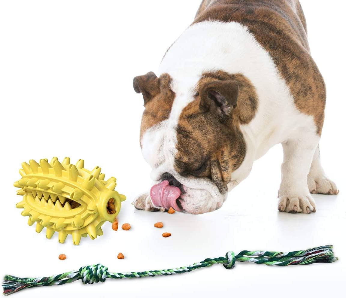 Đồ chơi nhai bàn chải đánh răng Tough Dog cho chó nhỏ vừa lớn, đồ chơi cho chó