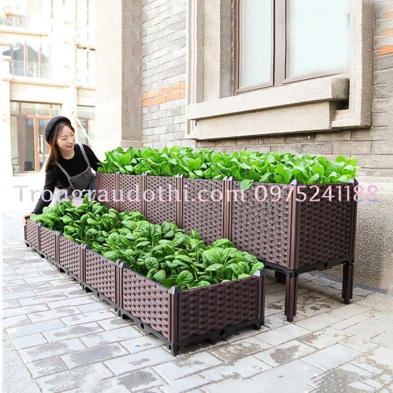 Chậu thông minh lắp ghép trồng rau sạch 120x40x22cm, đẹp, bền 5-7 năm