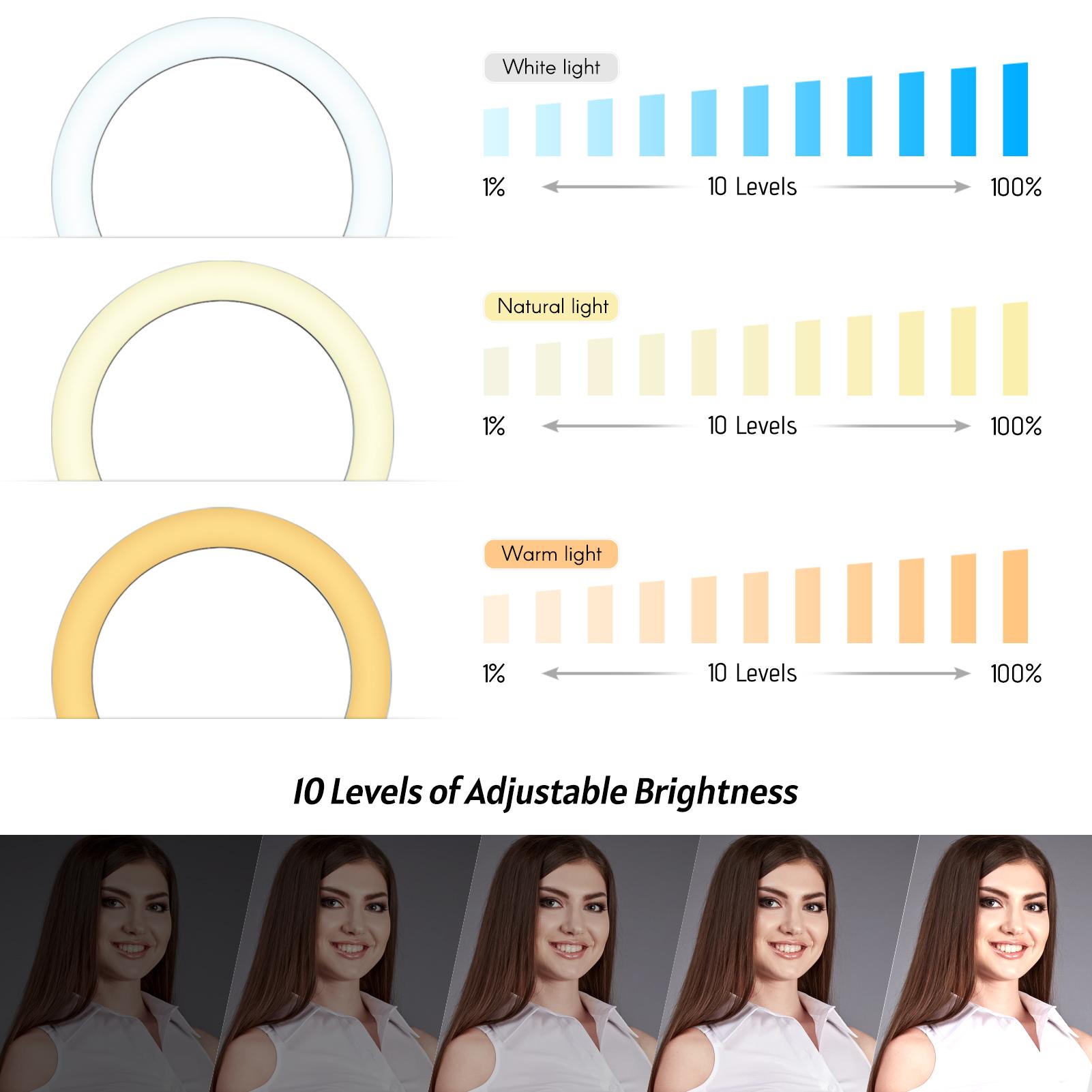 Đèn LED vòng kim loại 10 inch 3 chế độ chiếu sáng 10 mức độ sáng Đèn LED vòng kim loại 10 inch 3 chế độ chiếu sáng 10 mức độ sáng