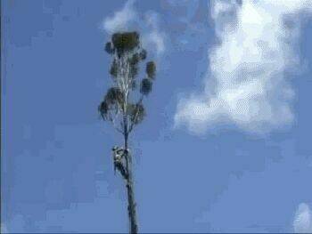 just troll chapter 32 24