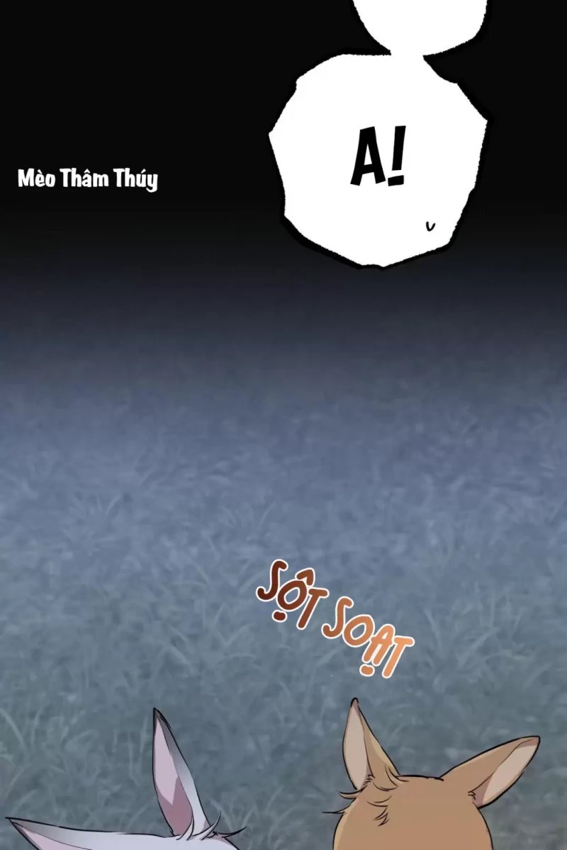 những chú thỏ của hapypy chapter 31.5 34