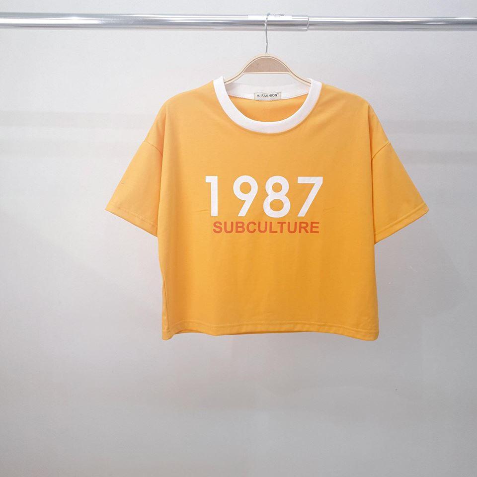 Áo thun nữ kiểu dáng croptop chất cotton tici 365.