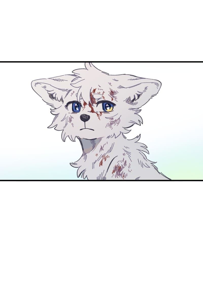 lumine - cội nguồn ánh sáng chapter 134 26