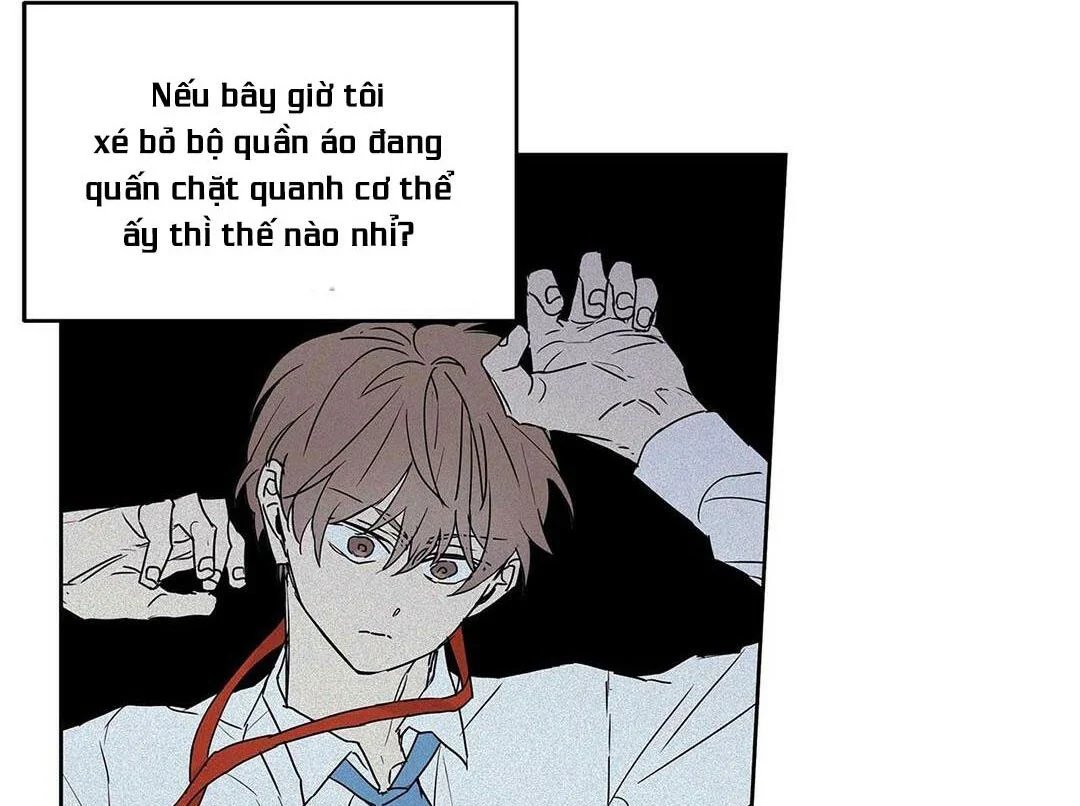 guide cấp b chapter 13 9