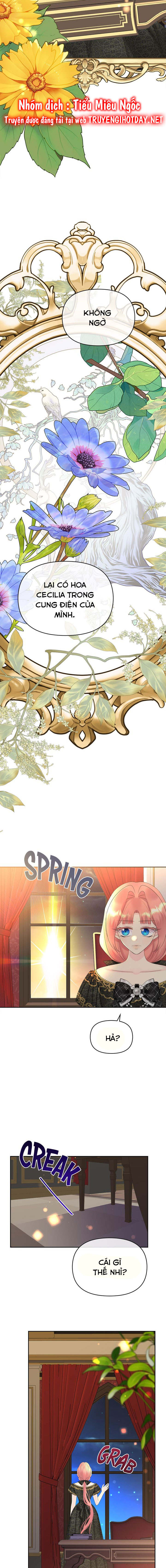 nuôi chồng từ bé chapter 56 11