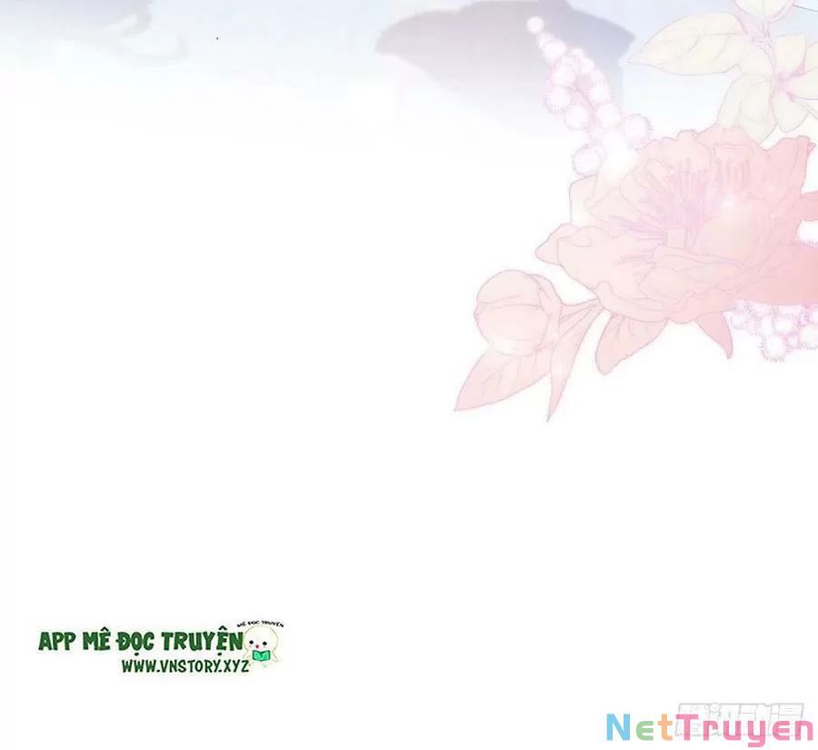 lại bị bệnh chiều chuộng quấn lấy chapter 61 69