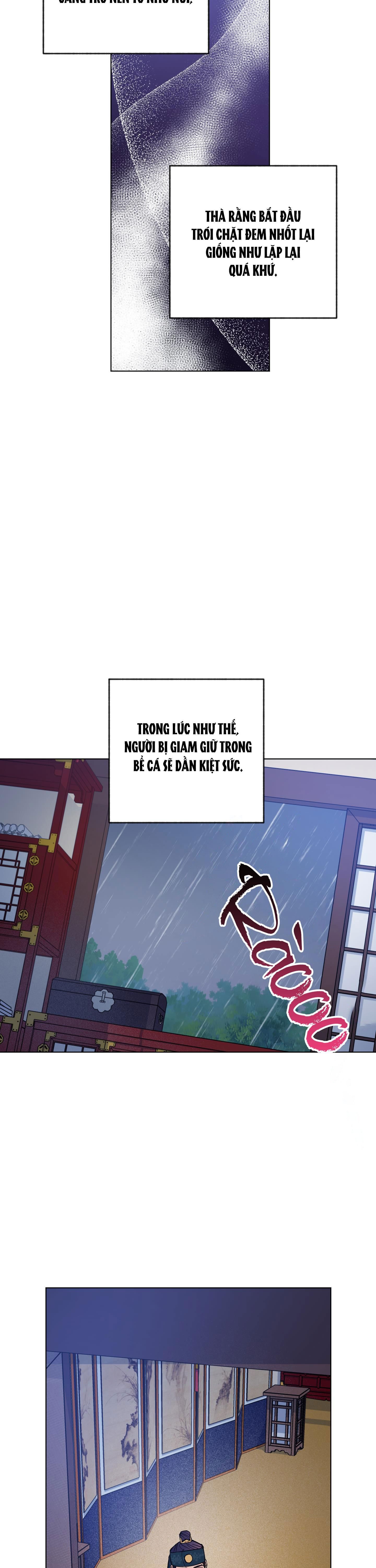 bình minh của rồng chapter 49 26