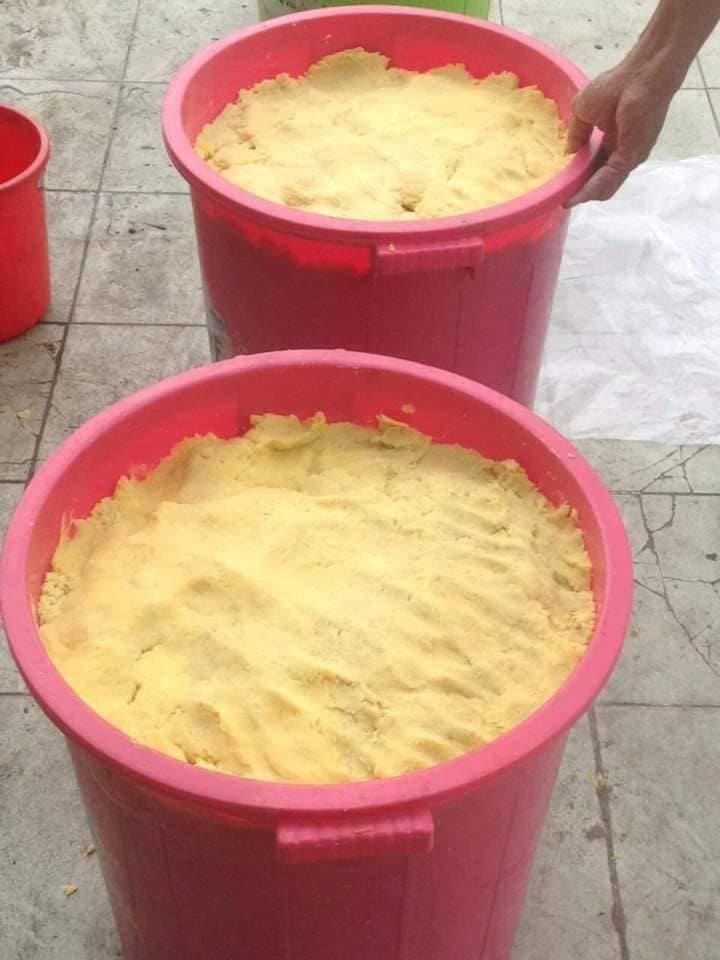1KG Mồi câu cá Mè, khoai lang ủ chua. Được ủ từ 3tháng. An toàn cho sức khỏe. thích hợp câu được nhiều loại cá