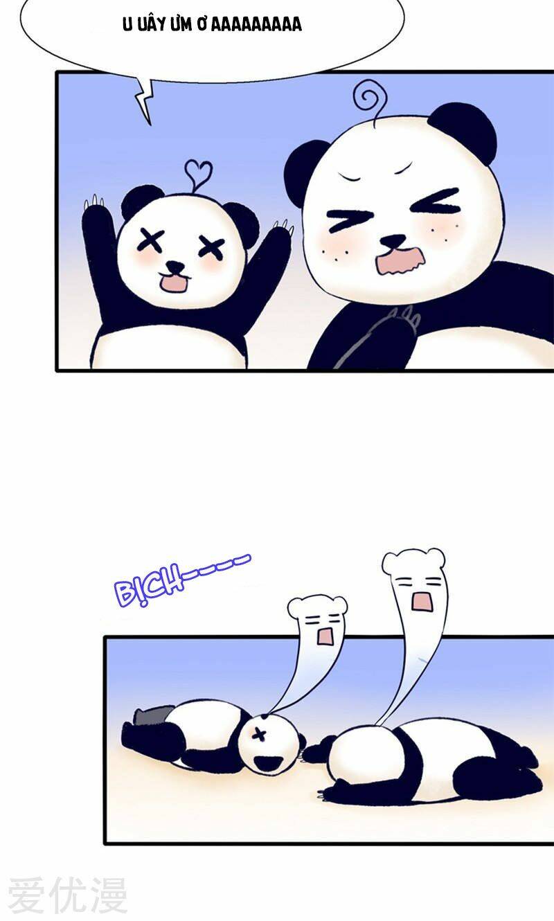 tôi bị gấu trúc nhìn trúng rồi chapter 14 10