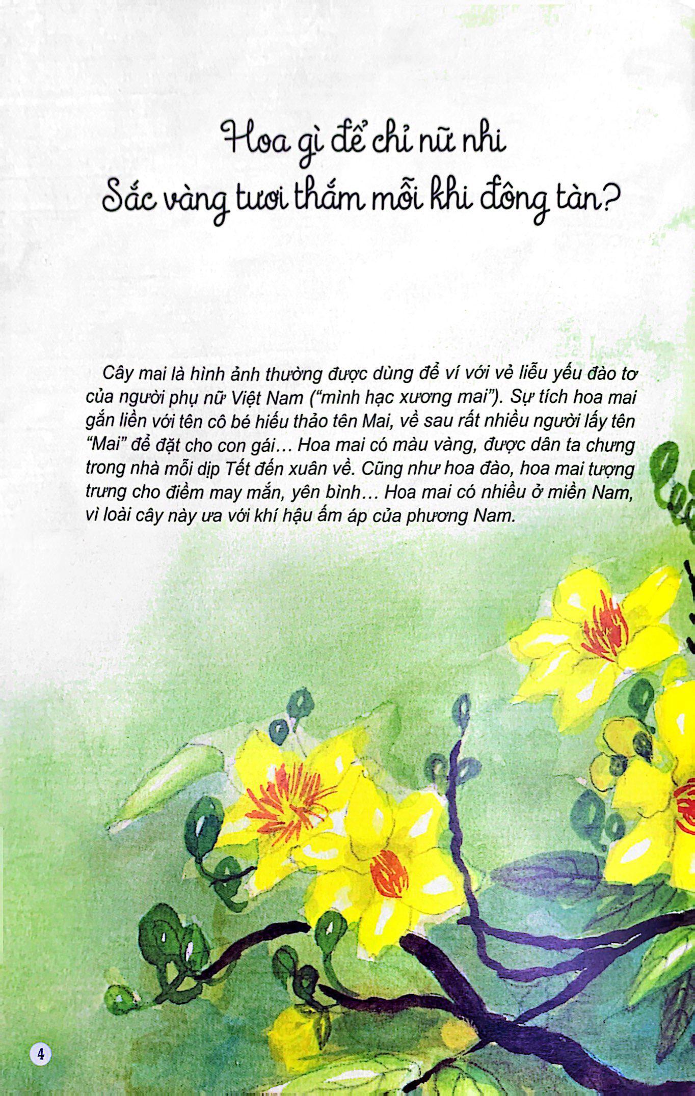 Sách Câu Đố Dân Gian Bằng Tranh - Hoa Quả (Tái Bản 2019)