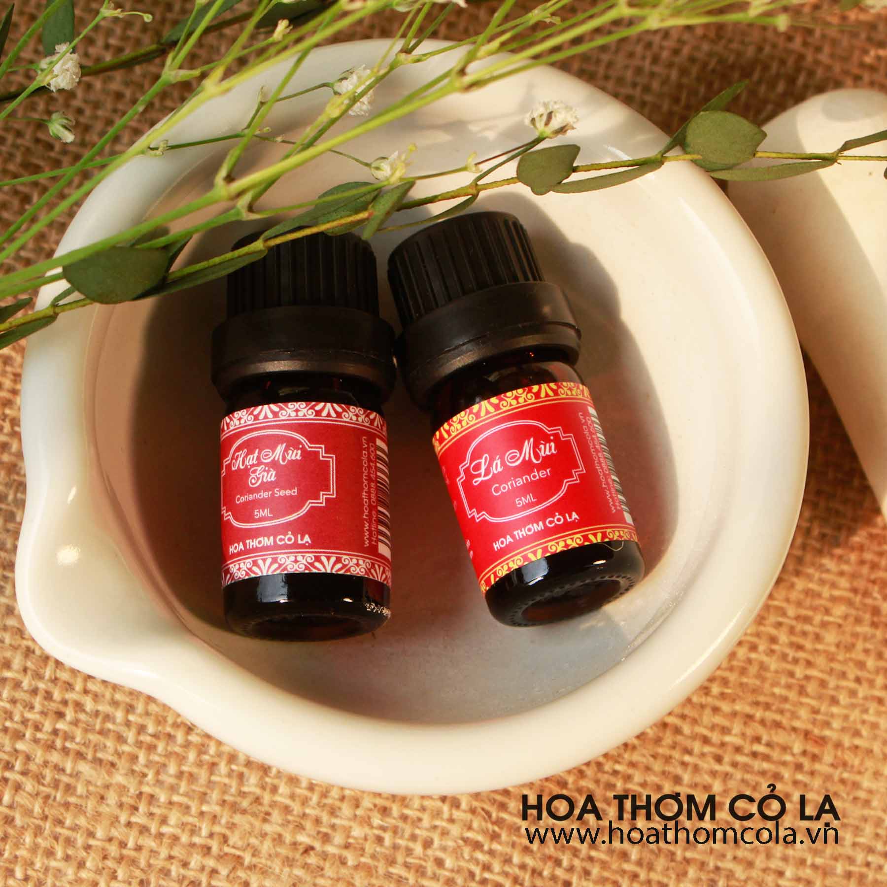 Tinh Dầu Hạt Mùi Già - Coriander Seed Essential Oil 10ml  - Hoa Thơm Cỏ Lạ