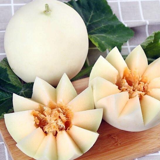 Hạt giống dưa lê bạch tuyết - 1 gói 20 hạt