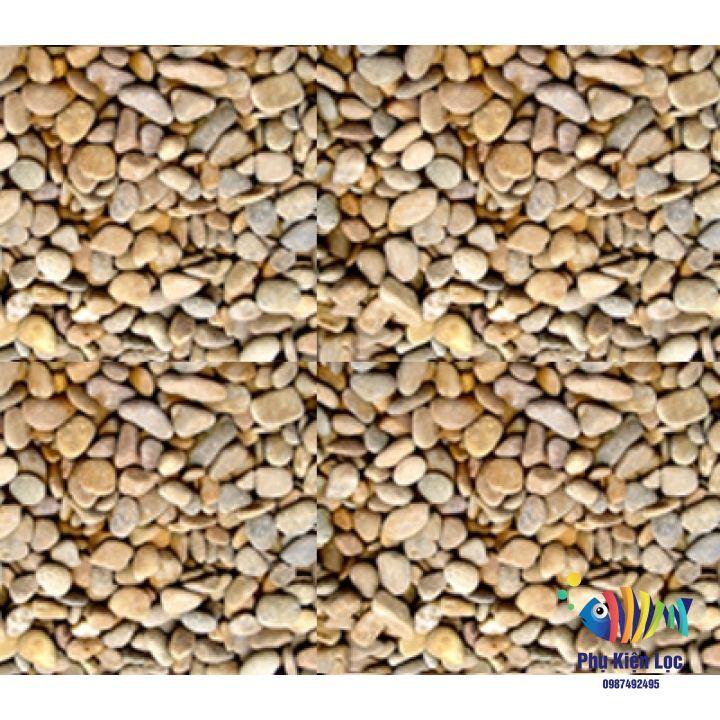Sỏi Vàng Vò Trang Trí Bể Cá Trang Trí Sân Vườn