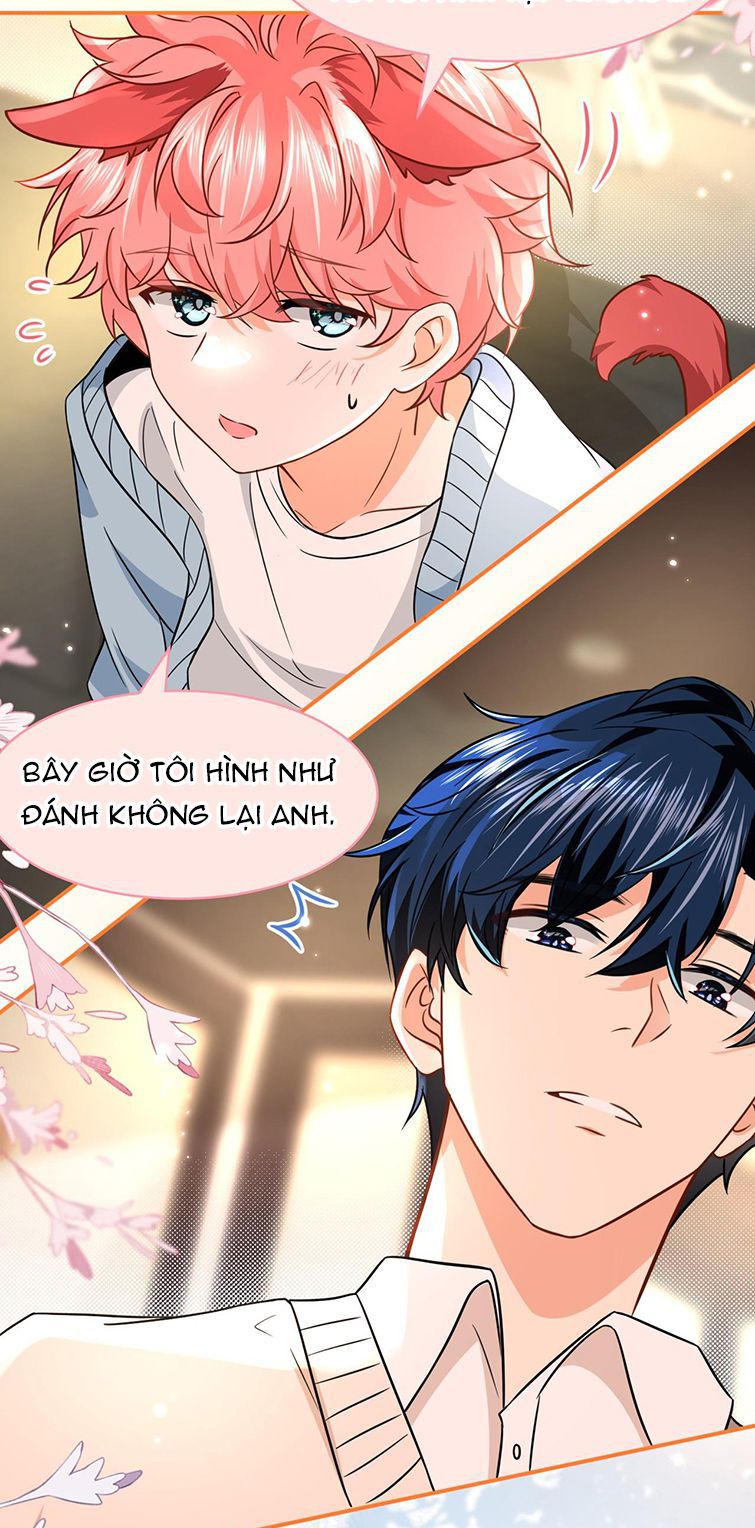 tín tức tố nói chúng ta không thể chapter 63 12