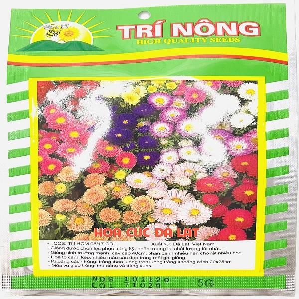 Hạt giống hoa cúc Đà Lạt