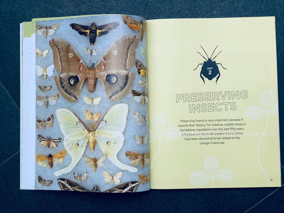 Little Learning Labs: Bugs for Kids: 20+ Family-Friendly Activities for Exploring the Amazing World of Beetles, Butterflies, Spiders, and Other Arthropods