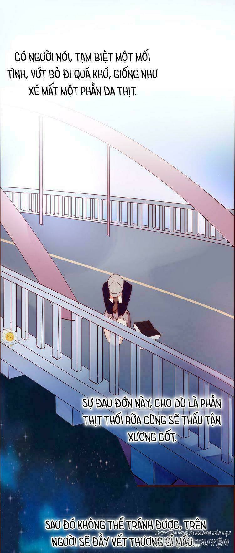 nở rộ trên bụi gai chapter 2 22