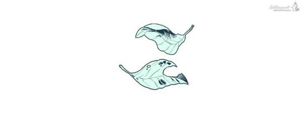 công chúa bãi rác chapter 6 56