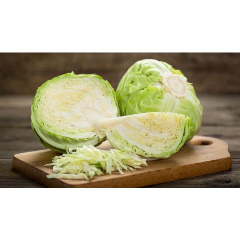 Hạt giống Bắp Cải F1 gói 1gram