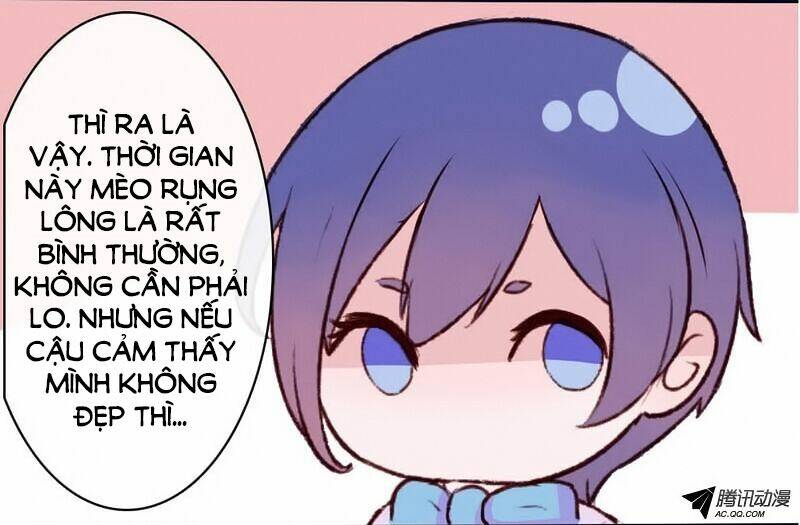 song sinh đổi chỗ ở chapter 11 39