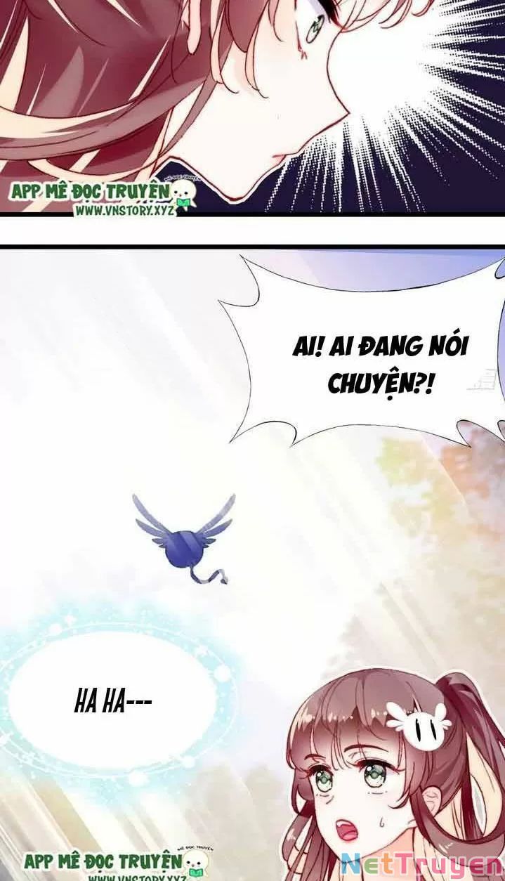 lại bị bệnh chiều chuộng quấn lấy chapter 11 23