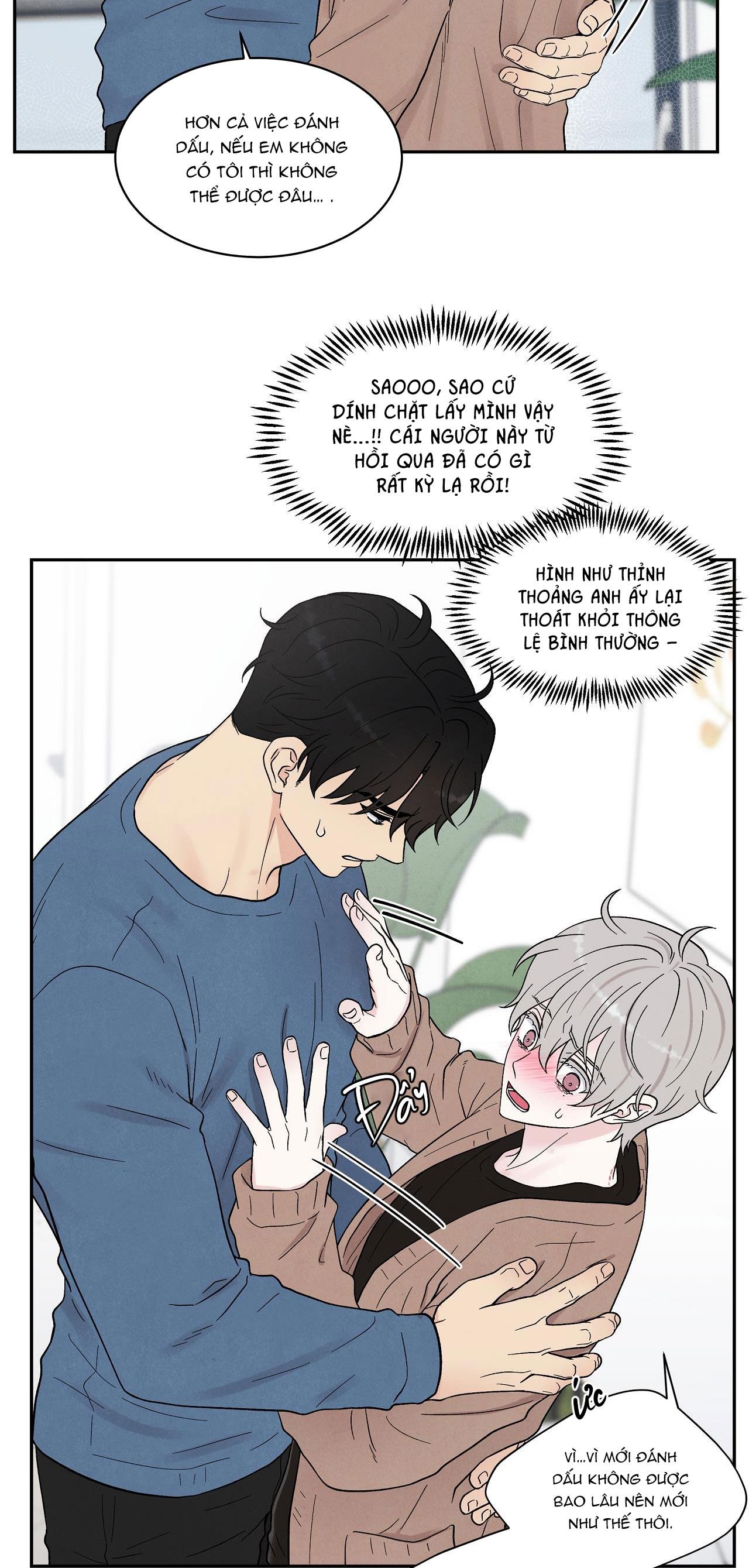 nếu không là định mệnh thì là gì? chapter 10 16