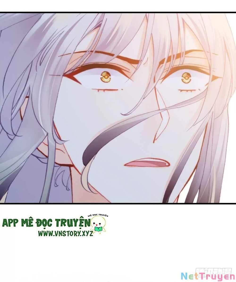 lại bị bệnh chiều chuộng quấn lấy chapter 66 88