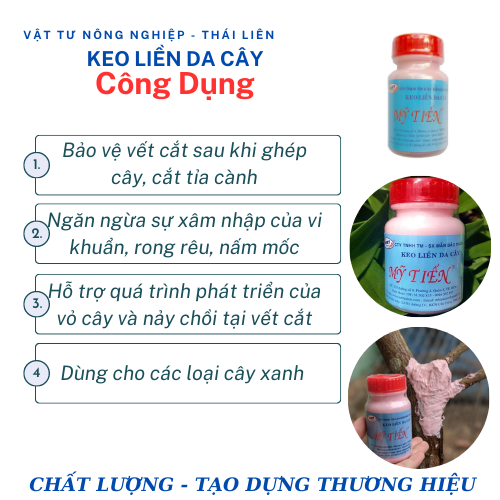 Keo Liền Da Mỹ Tiến 100ml - Keo Liền Sẹo - Phục Hồi Sẹo - Làm Lành Vết Thương - Trị Vết Thương Cây Trồng