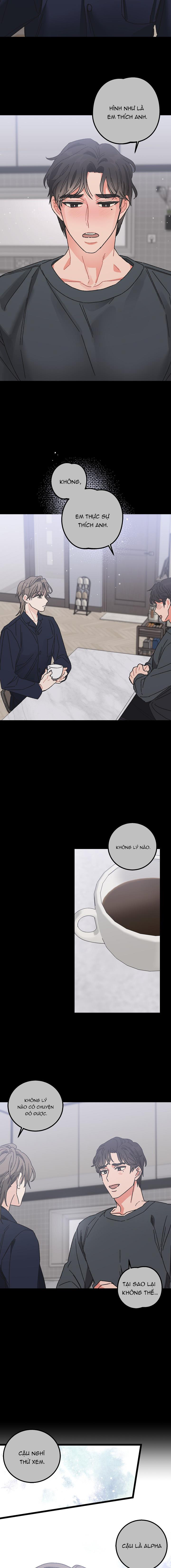 alpha thì có sao? chapter 1 14