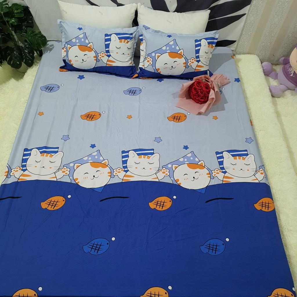SET 4 MÓN CHĂN HÈ TRẦN BÔNG KÈM GA GỐI COTTON POLY MẪU MÈO CÁ XANH