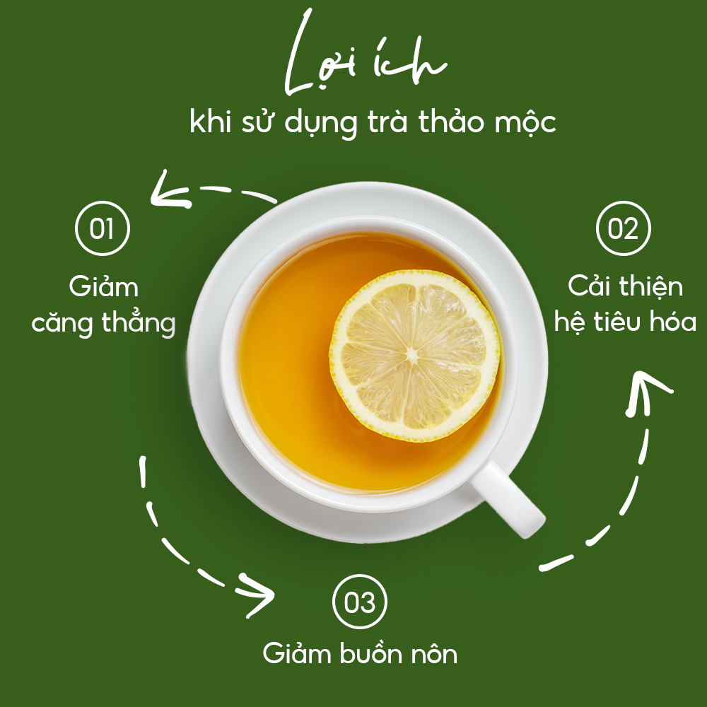 Trà Thảo Mộc Bồ Công Anh - Bảo Long - Hàng  Chính Hãng