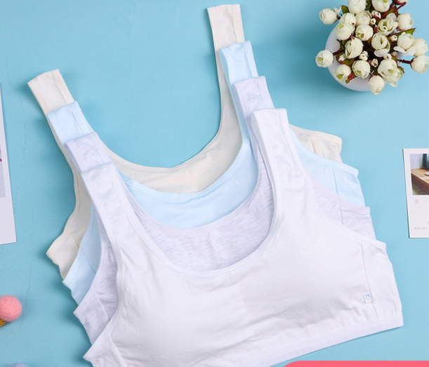 Bra / Áo Lá Nữ Sinh Cotton Tinh Khiết MILK Xuất Đông Hàng Loại Đẹp.
