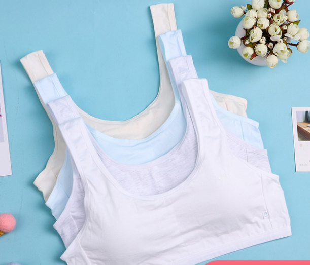 Hình ảnh Bra / Áo Lá Nữ Sinh Cotton Tinh Khiết MILK Xuất Đông ( AL : 212 ) Hàng Loại Đẹp.