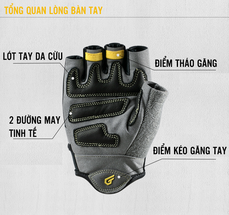 Găng Tay Tập Gym Hở Mu Glofit GFST001 - Pro 2.0 (Workout Gloves - Pro) Găng Tay Cao Cấp Đệm Bàn Tay Da Cừu, Đẹp Tinh Tế - Thoáng Mát Êm Lòng Bàn Tay (1 Đôi)