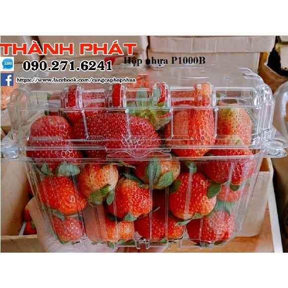 50 Hộp nhựa P1000B đựng trái cây, cherry, nho - Hộp đựng trái cây 1kg