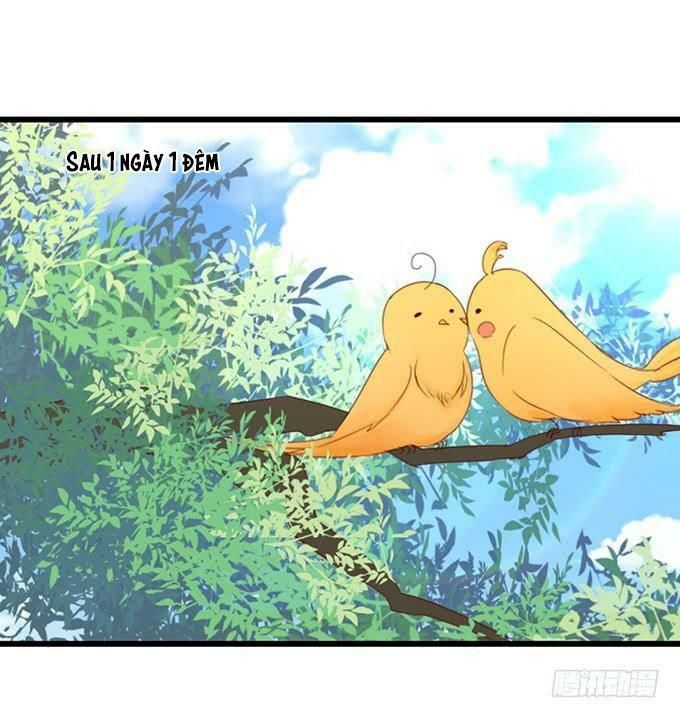 hồ tiên hung bạo chapter 126 52