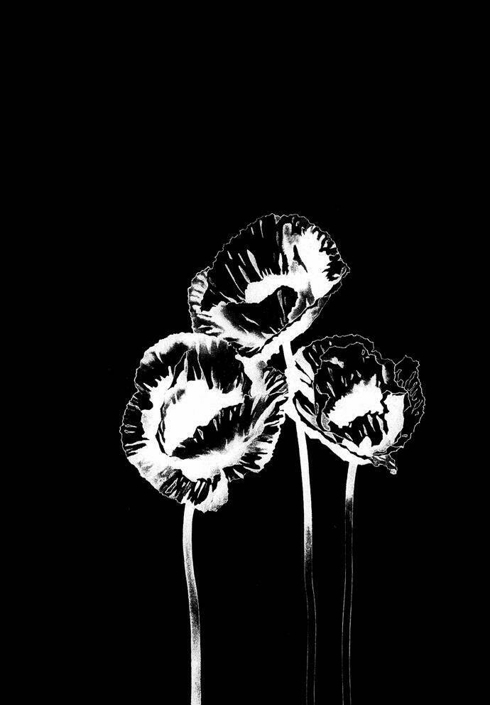 k no souretsu chapter 14.1 33