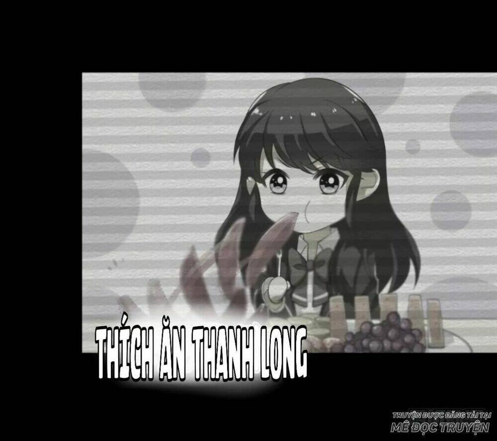 mộ thiếu, lão bà ngươi trọng sinh lại rồi! chapter 19 29