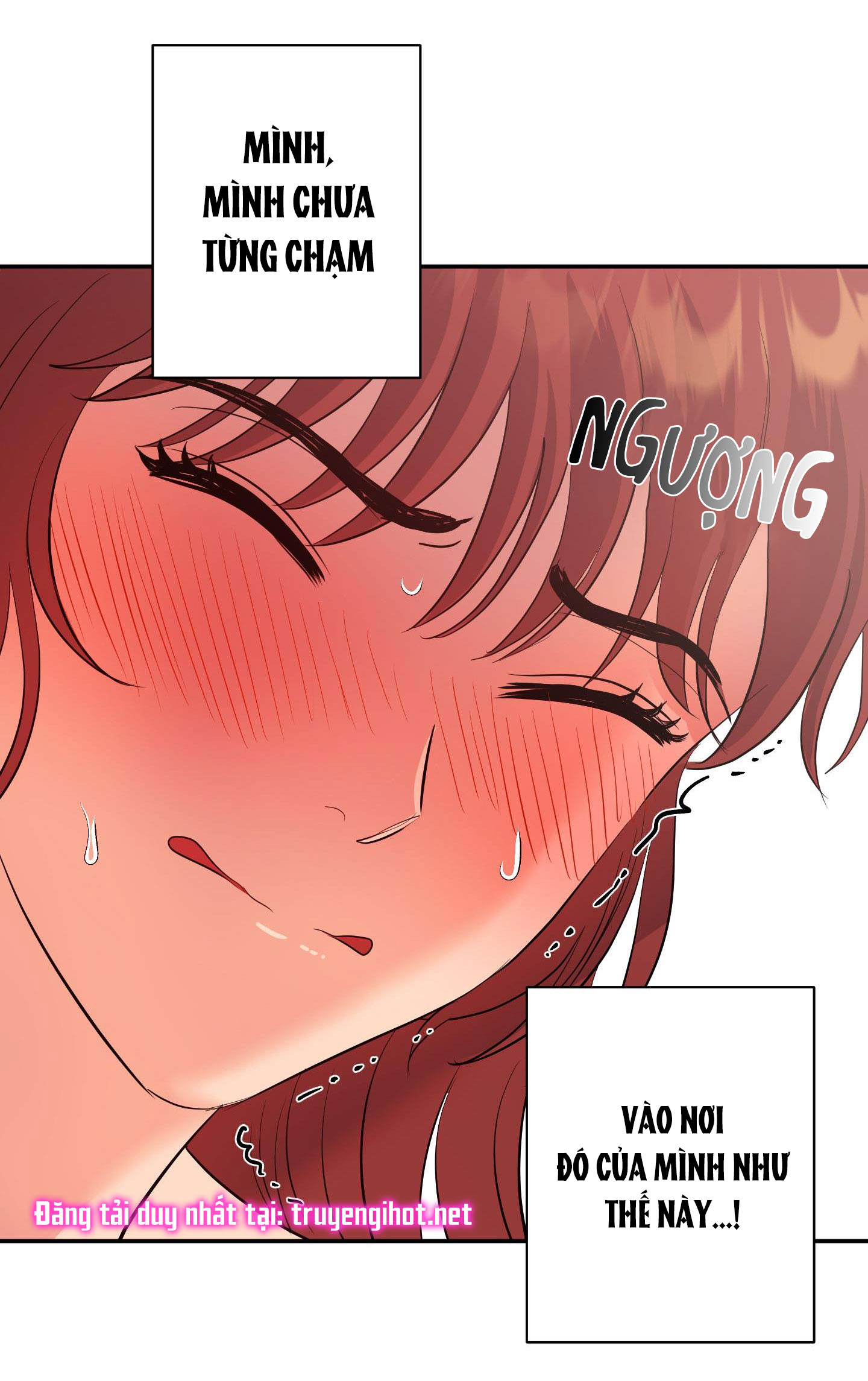 [18+] một lòng một dạ chapter 22.1 6