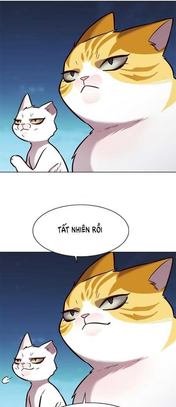 biến thân thành mèo chapter 169 51