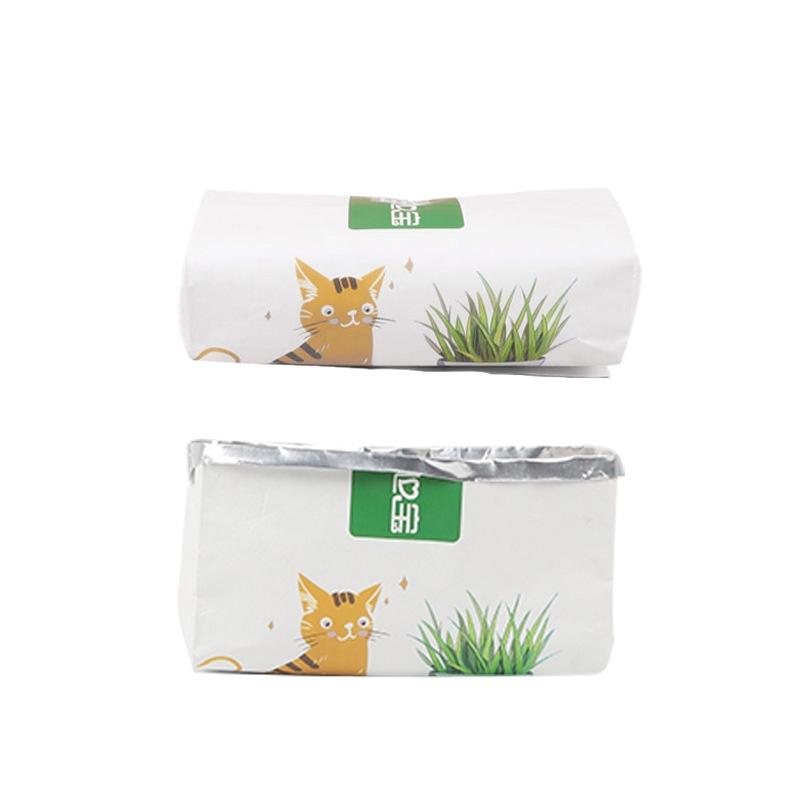 Set cỏ catnip tự trồng, chỉ cần tưới nước là có thể thu hoạch.