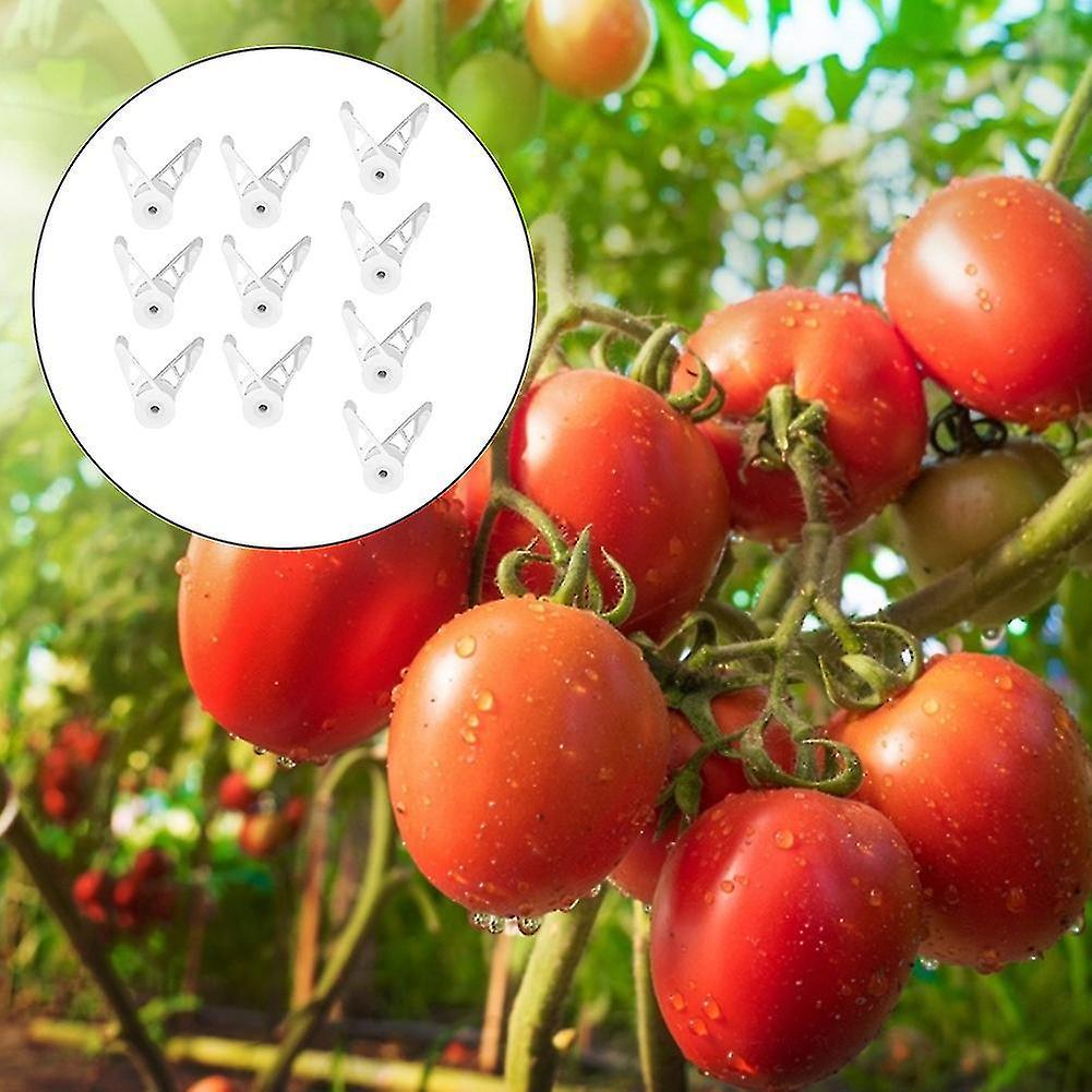 Cây trồng 360 độ, clip thực vật có thể điều chỉnh, màu xanh lá cây