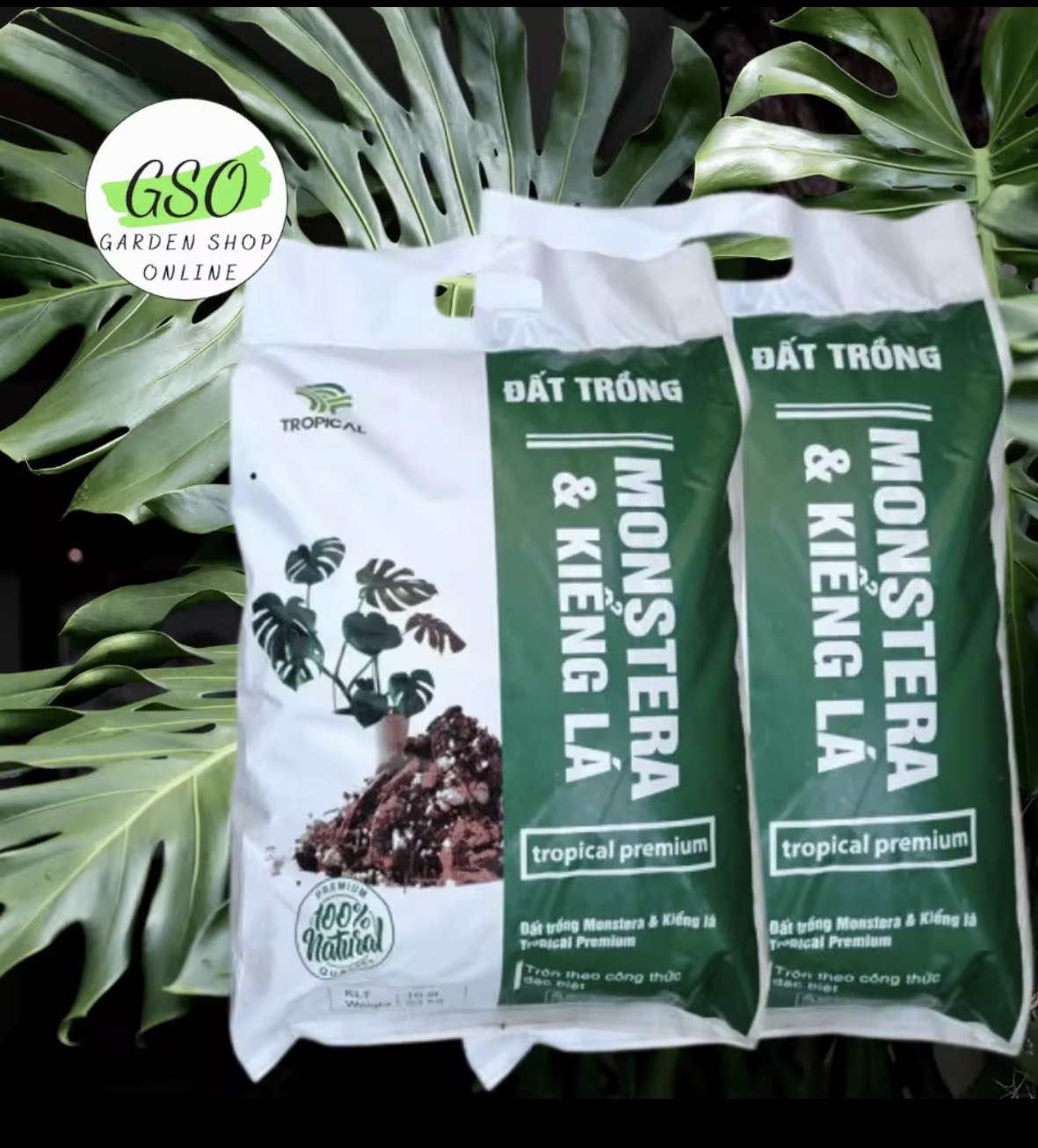 Giá thể trồng MONSTERA & KIỂNG LÁ giúp cây hấp thụ dinh dưỡng tốt hơn túi 3 ký.