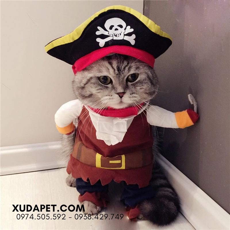 Áo Cosplay Caribe's Pirate Cho Chó mèo - SP006019Pirate