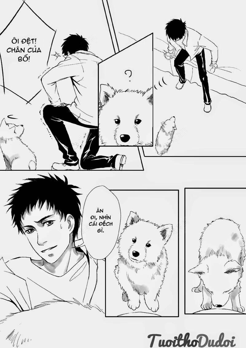 sự mê hoặc của sói chapter 6 4