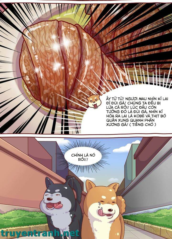 cây nấm kì khả chapter 6 12