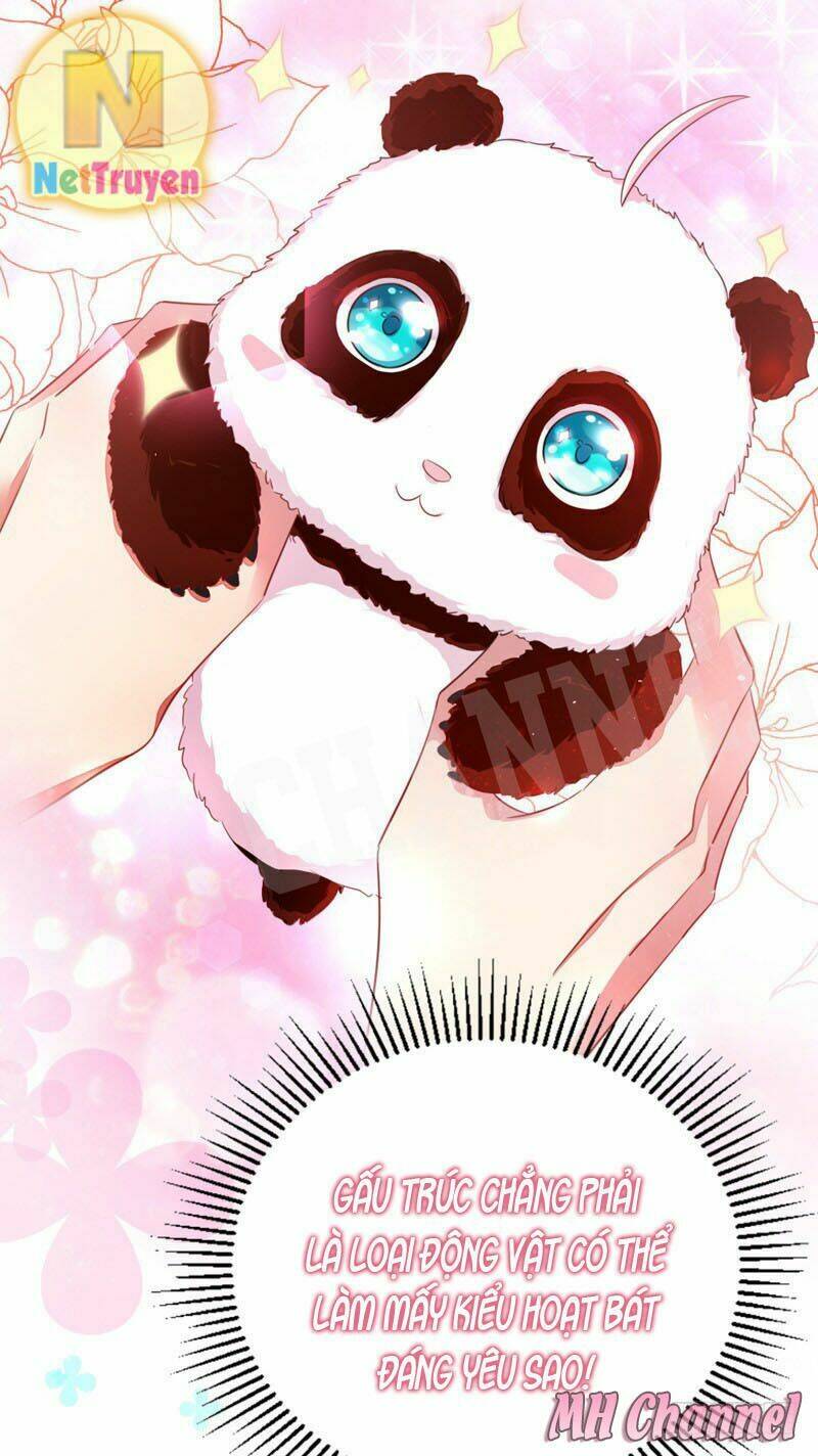 thiên thần gấu trúc muốn được ôm chapter 5 19