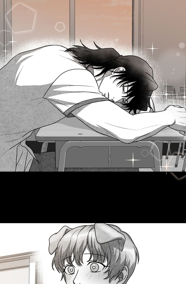 khi cún biết yêu chapter 12 6